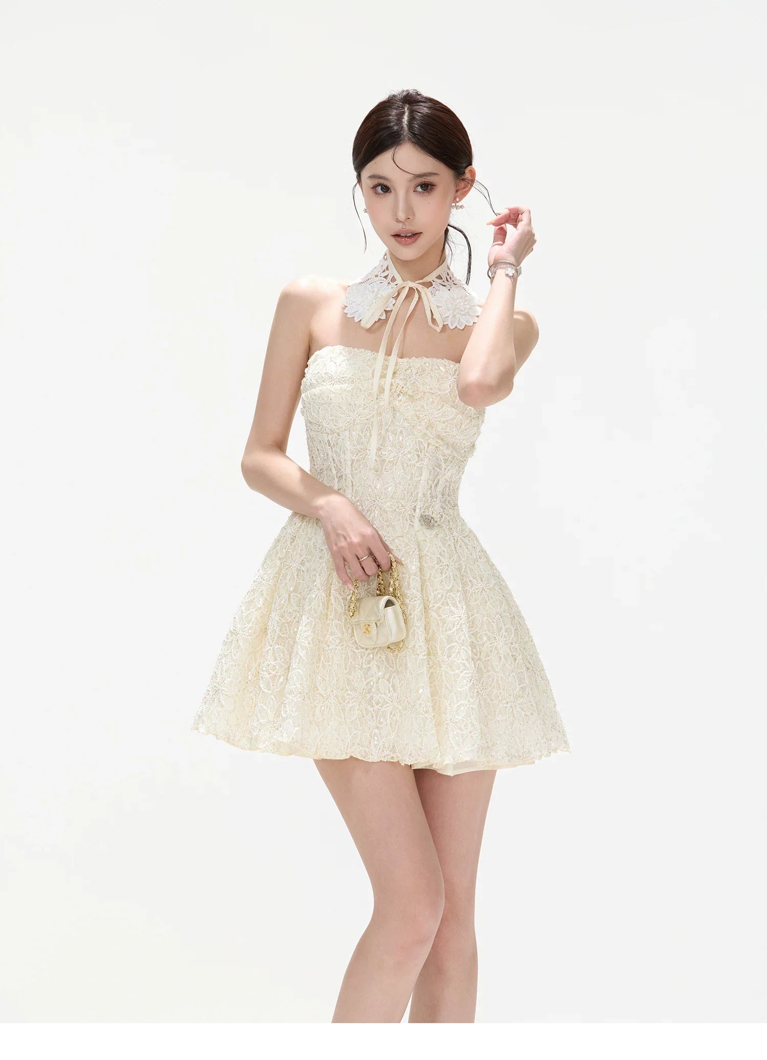 Seine Garden Embroidered Lace Mini Dress