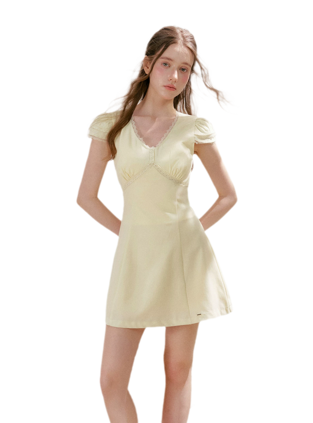 Lace V-Neck Short Sleeve A-Line Dress