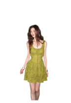 Moss Lace Waist Dress