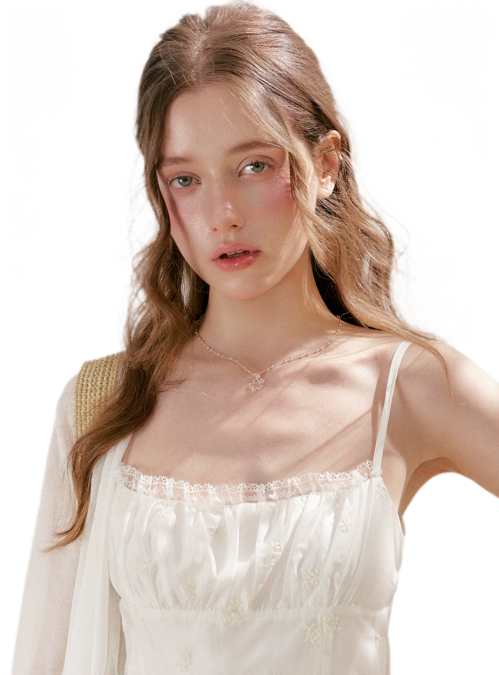 French Embroidered A-line Dress
