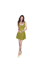 Moss Lace Waist Dress