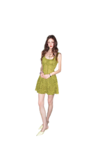Moss Lace Waist Dress