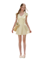 Lace V-Neck Short Sleeve A-Line Dress