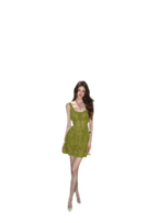 Moss Lace Waist Dress