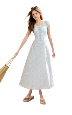 Embroidered A-Line Short Sleeve Dress