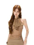 Sheer Halter Bow Top