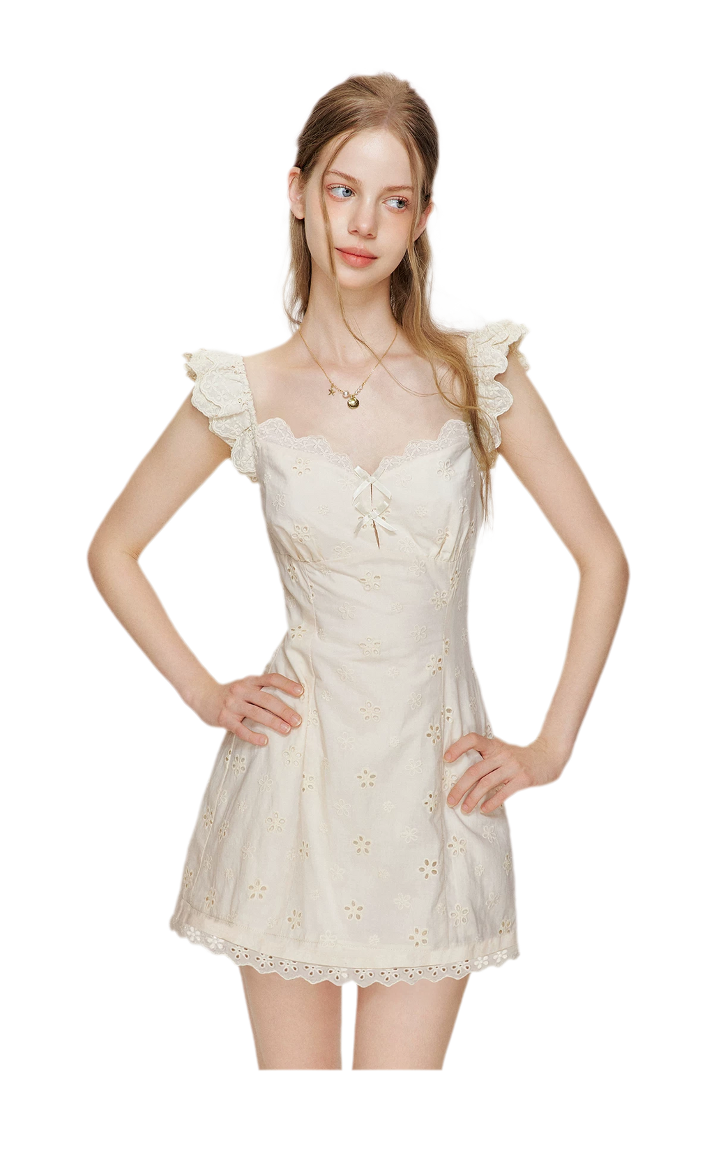 Embroidered Lace Flutter Sleeve Dress