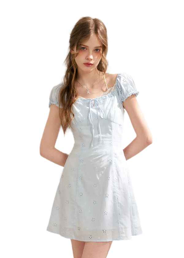 Embroidered A-Line Short Sleeve Dress