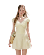 Lace V-Neck Short Sleeve A-Line Dress