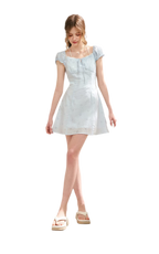Embroidered A-Line Short Sleeve Dress