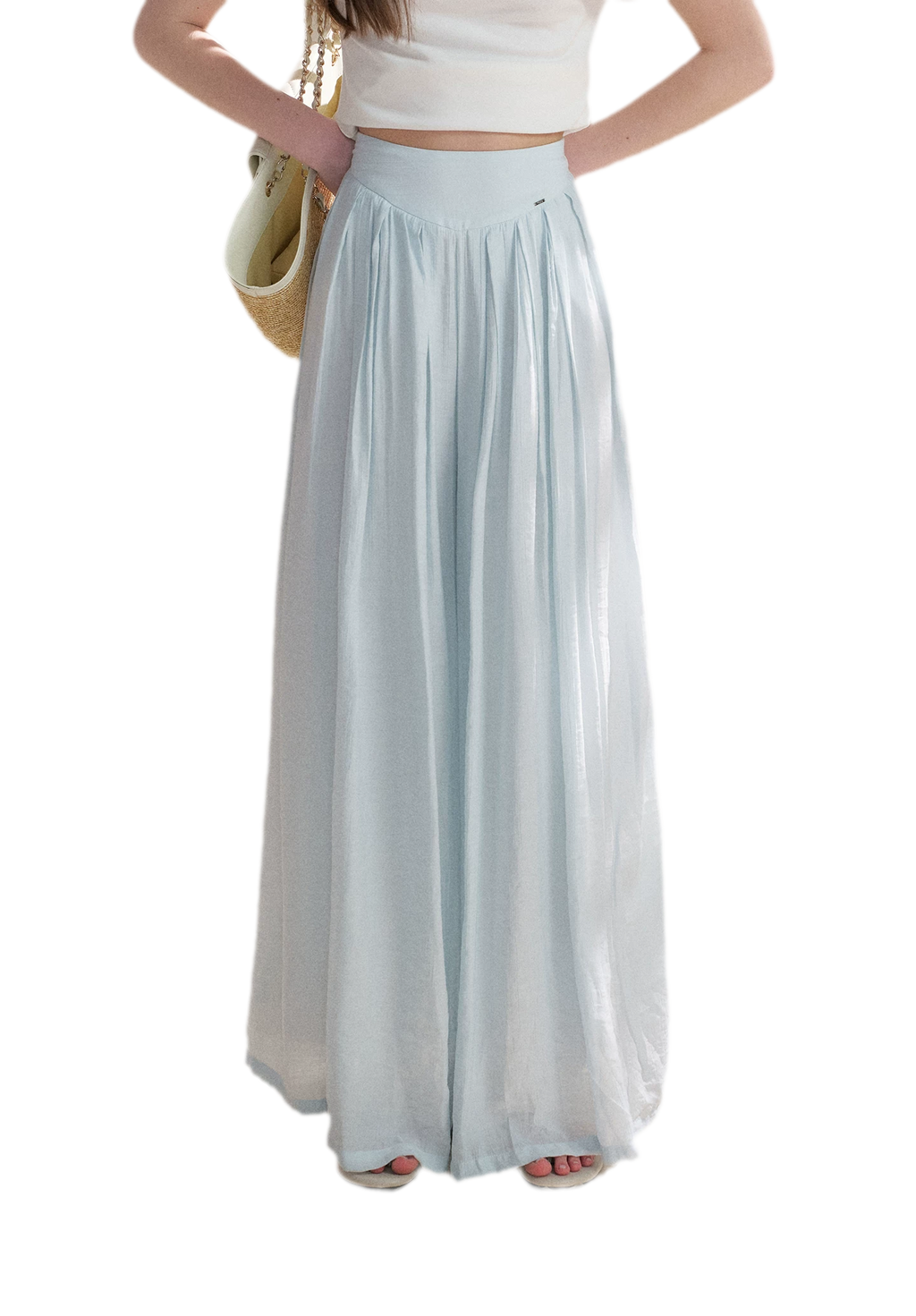 Pleated Wide-Leg Pants