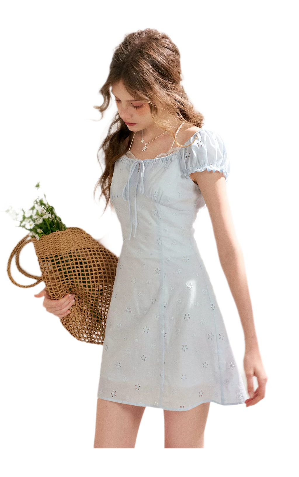 Embroidered A-Line Short Sleeve Dress