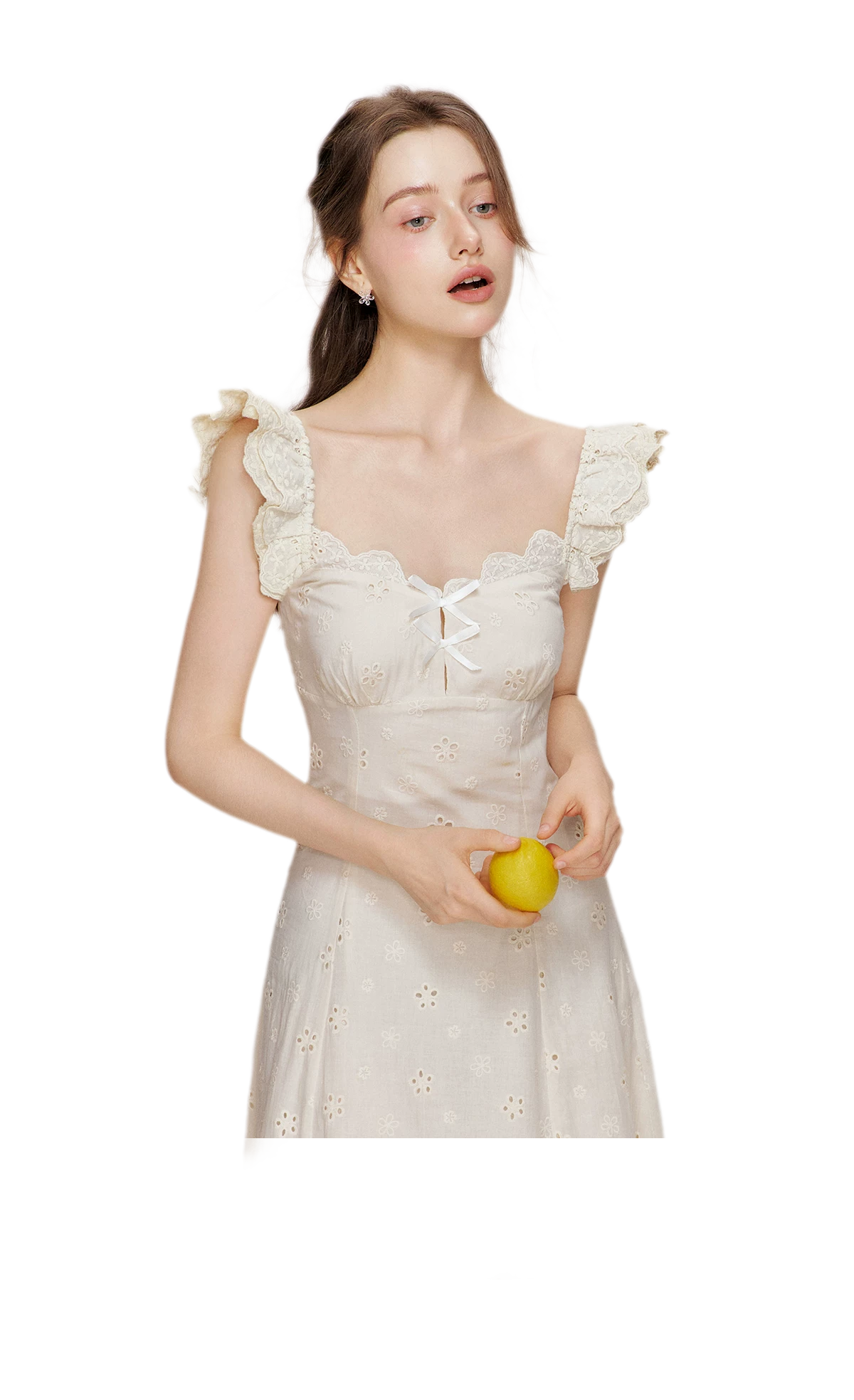 Embroidered Lace Flutter Sleeve Dress