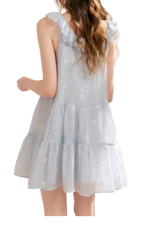 Tencel Embroidered Ruffle A-line Dress