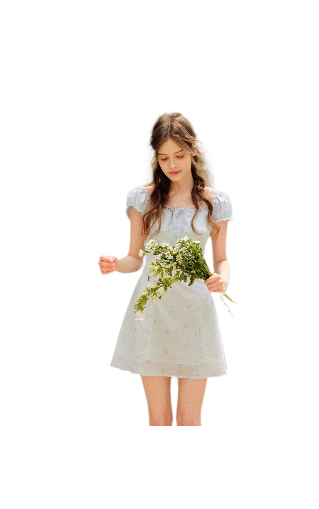 Embroidered A-Line Short Sleeve Dress