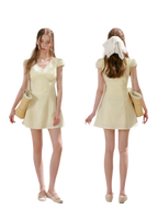 Lace V-Neck Short Sleeve A-Line Dress